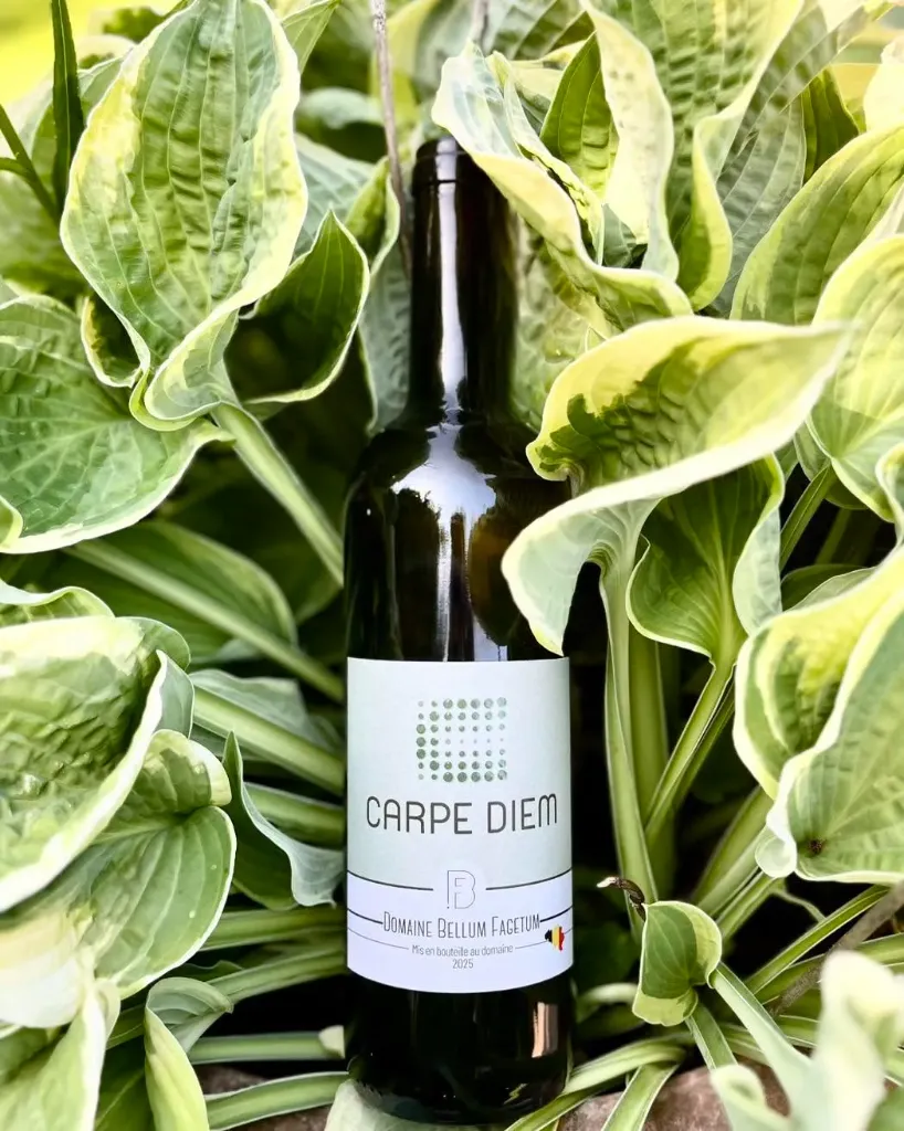 Carpe Diem, vin blanc belge