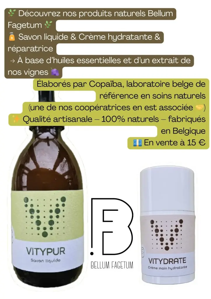 DBF Vity pack duo
